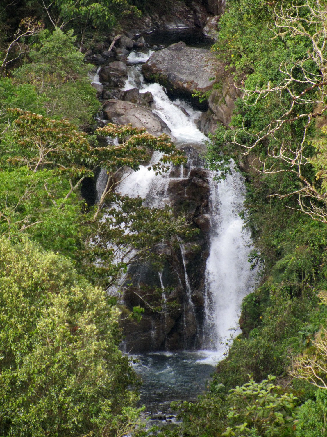 Waterfall in the reservation Reserva Cloudbridge